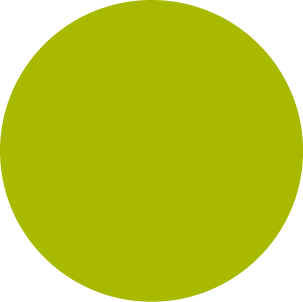 Imagem do formulario de franquiado. Circulo verde.